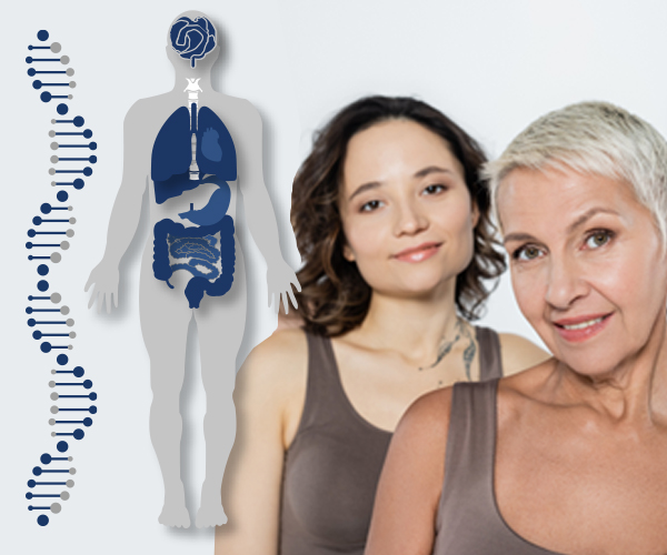 Female DNA Female DNA