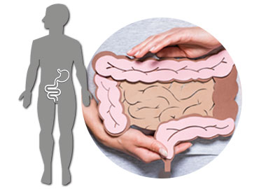 Gut Tests